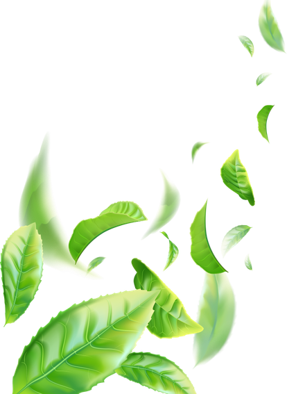 Hanna Foods Premium Products